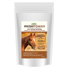 MushPonies Horse Cakes With Coriolus Versicolor Mushroom (International)